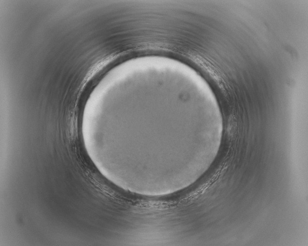 X0000115330877200912141217