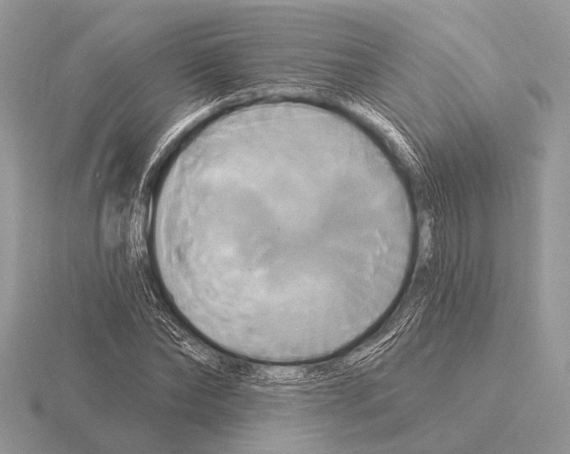 X0000115330878200912141217