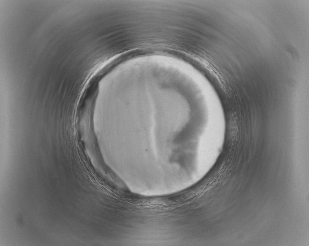 X0000115330879200912141217