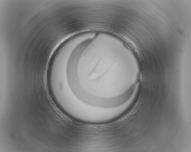 X0000115330880200912141217