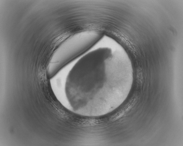 X0000115330881200912141217