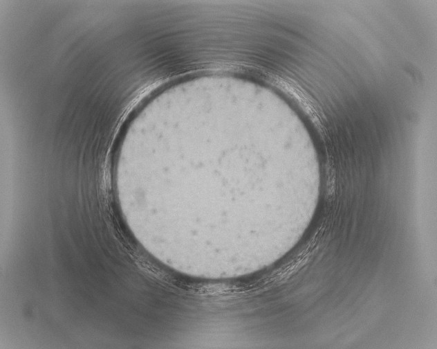 X0000115330883200912141217