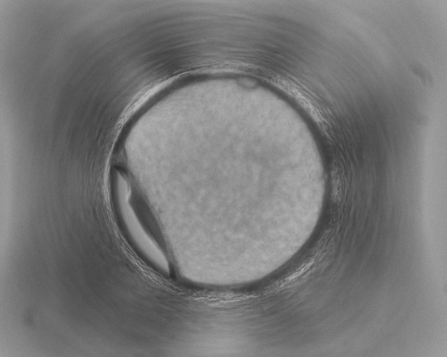 X0000115330885200912141217