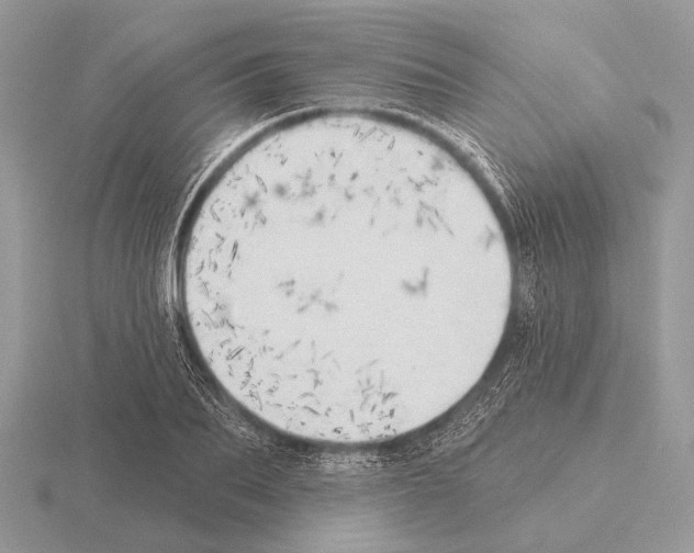 X0000115330887200912141217