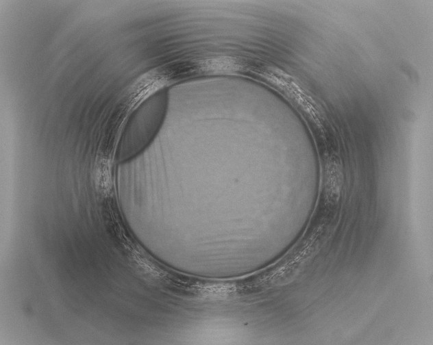 X0000115330889200912141217