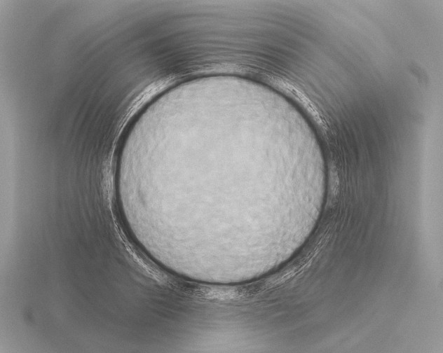 X0000115330890200912141217