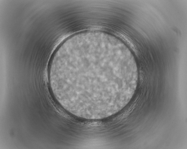 X0000115330891200912141217