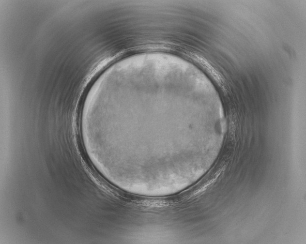 X0000115330893200912141217