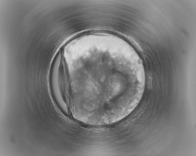 X0000115330895200912141217