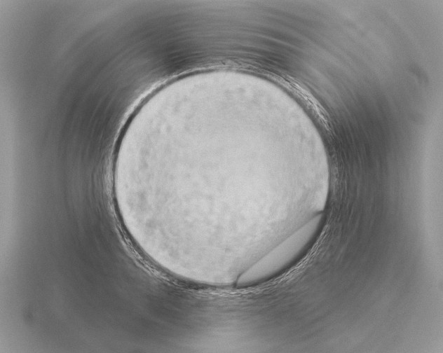 X0000115330896200912141217