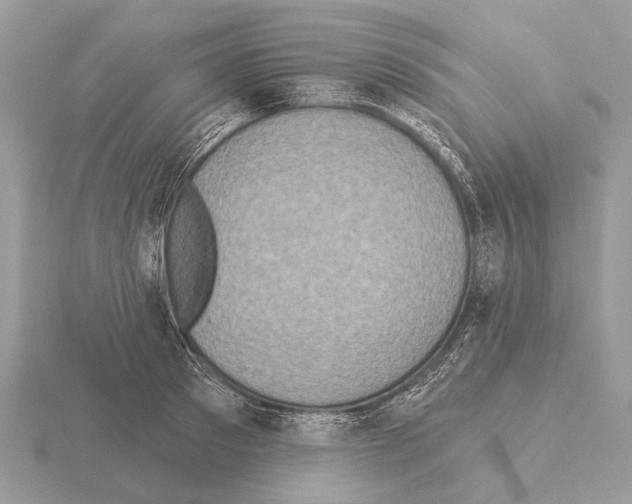 X0000115330897200912141216