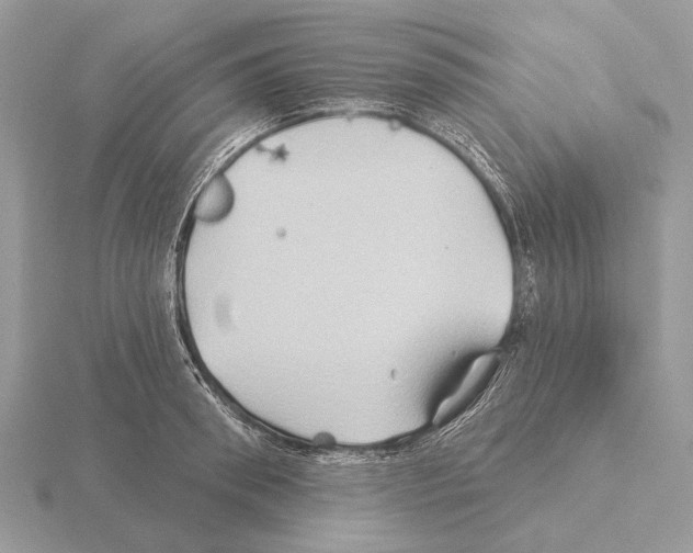 X0000115330898200912141216