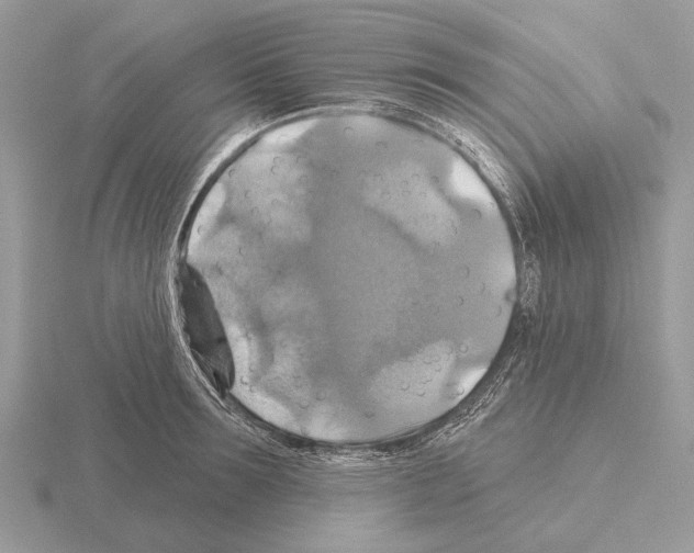 X0000115330899200912141216