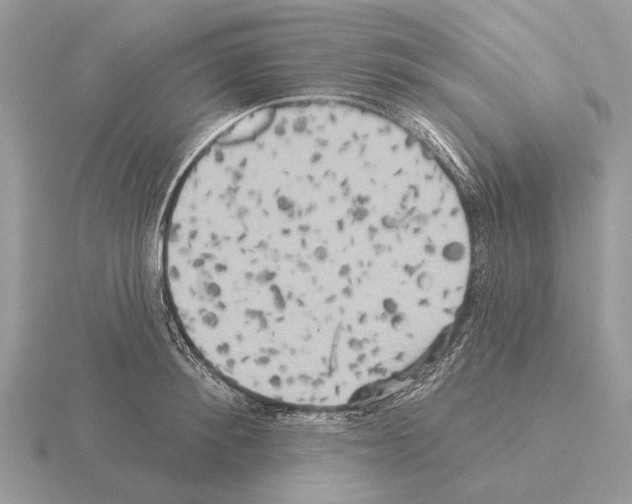 X0000115330900200912141216