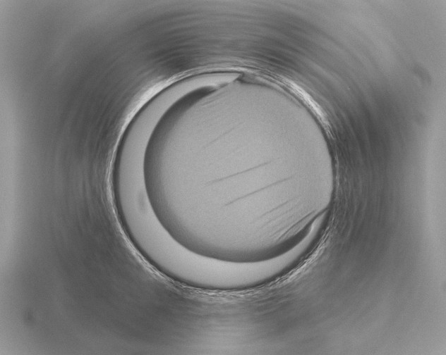 X0000115330901200912141216