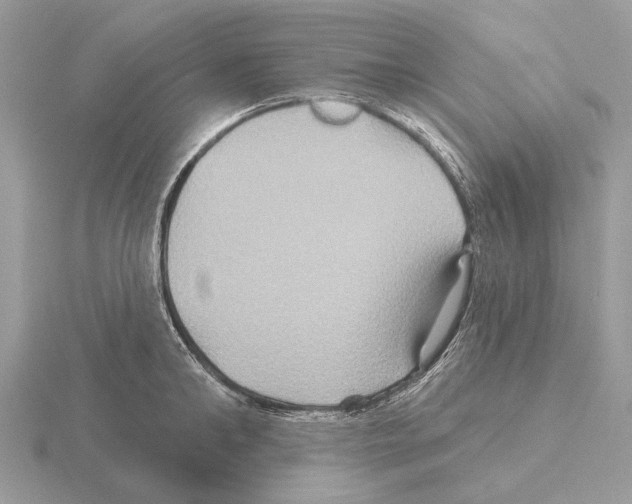 X0000115330902200912141216