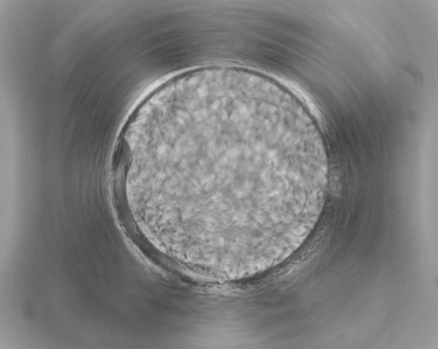 X0000115330903200912141216