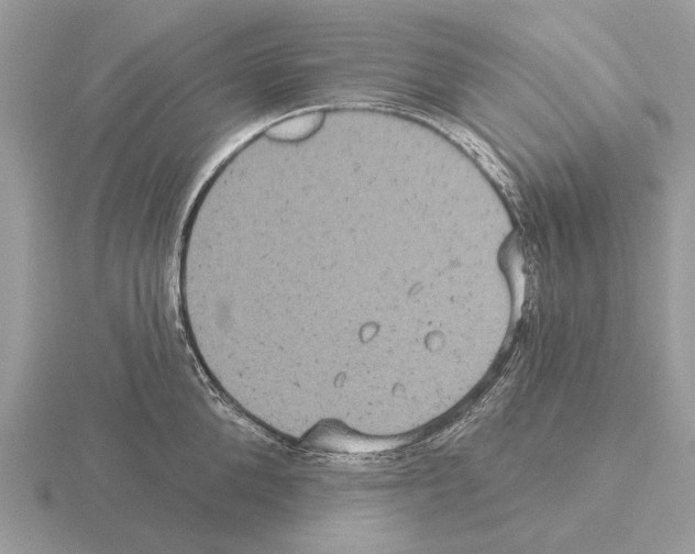 X0000115330904200912141216