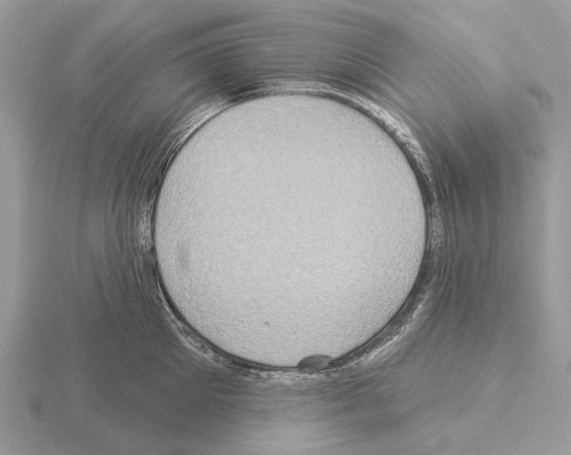 X0000115330905200912141216