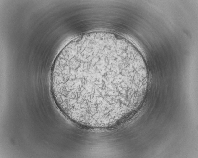 X0000115330906200912141216