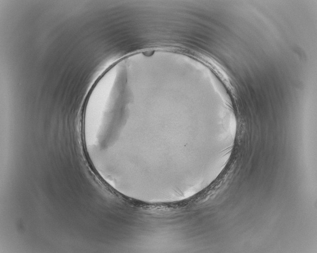 X0000115330907200912141216