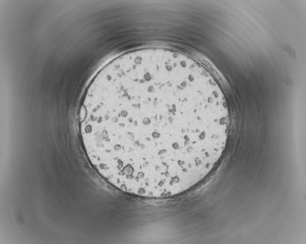 X0000115330908200912141216