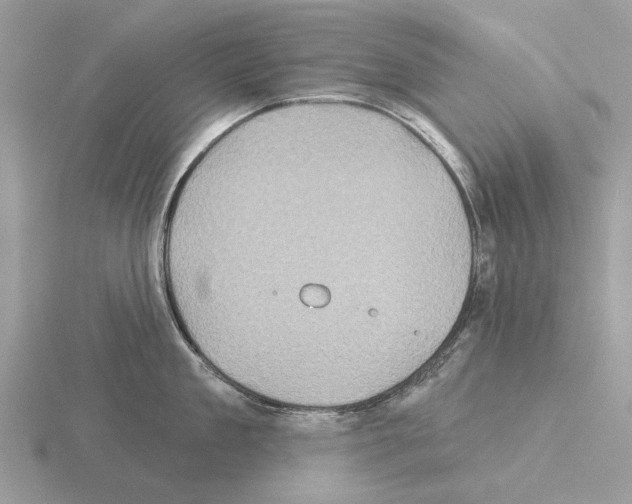 X0000115330909200912141216