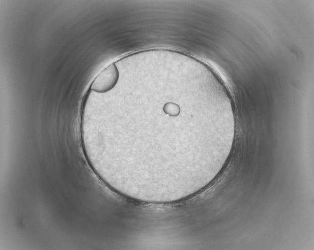 X0000115330910200912141216