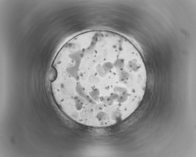 X0000115330911200912141216