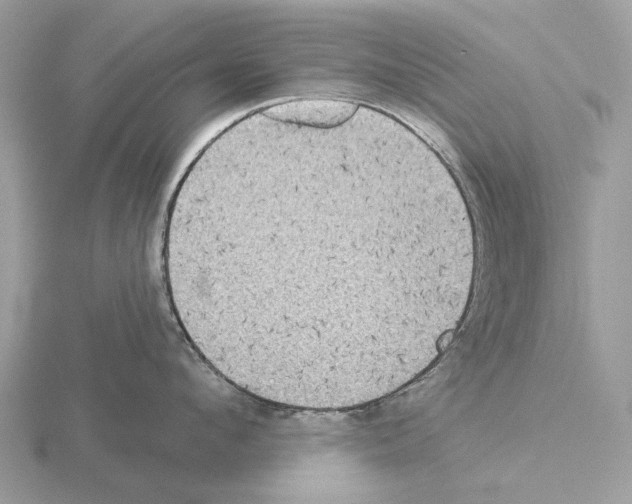 X0000115330912200912141216