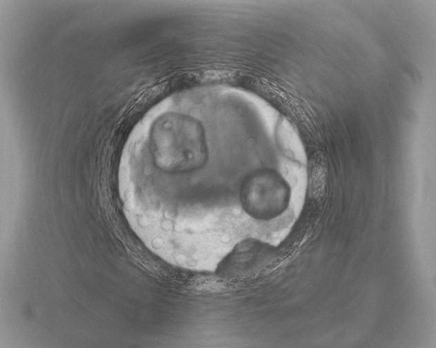 X0000115330913200912141216