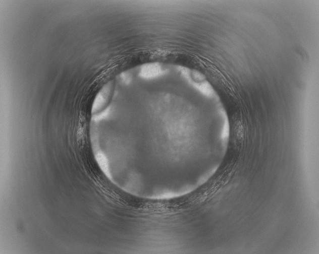 X0000115330914200912141216