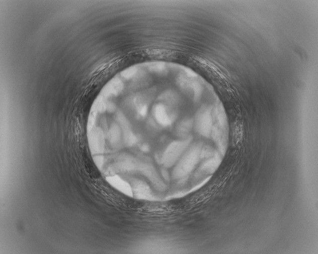 X0000115330917200912141216