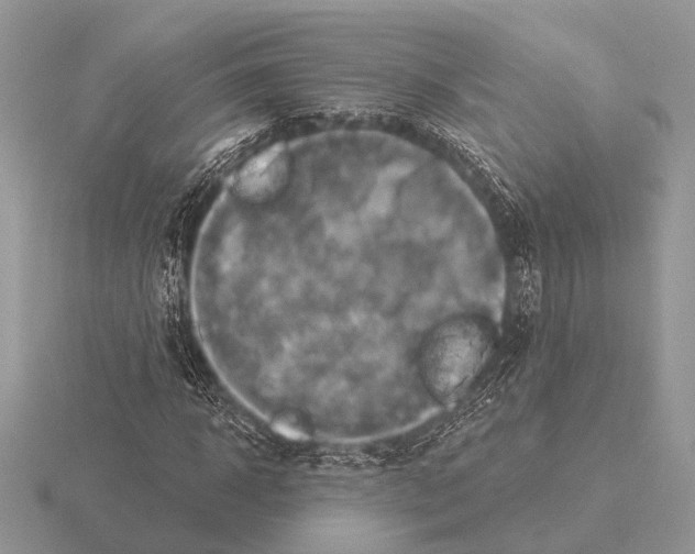 X0000115330918200912141216