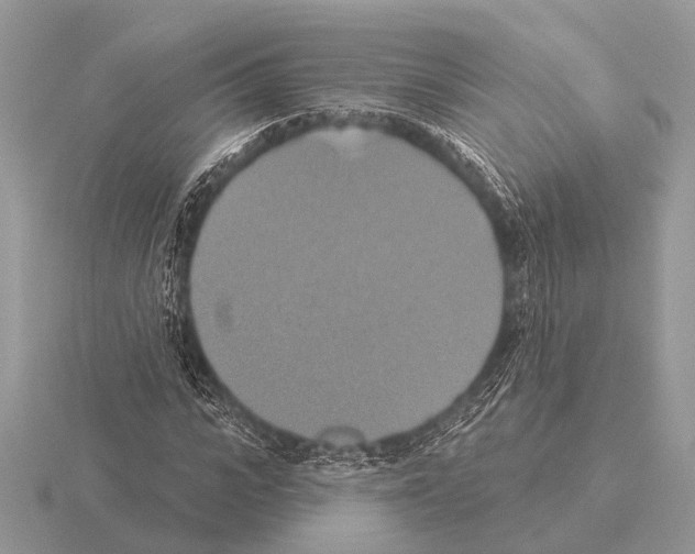 X0000115330919200912141216