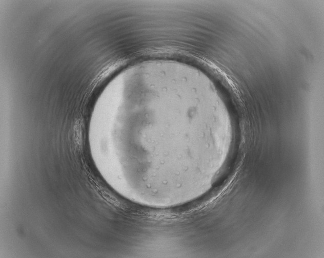 X0000115330921200912141216