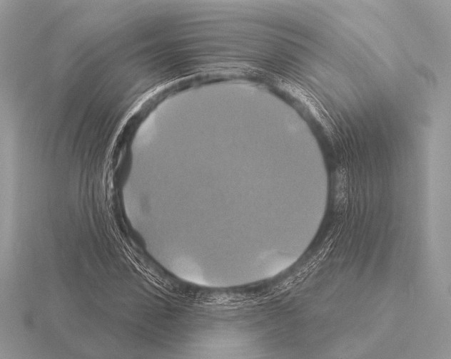 X0000115330923200912141216