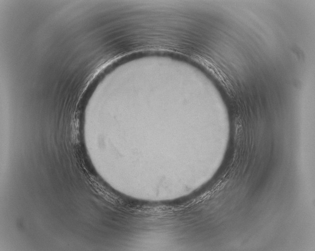 X0000115330926200912141216