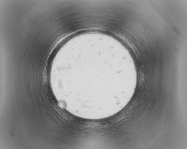 X0000115330927200912141216