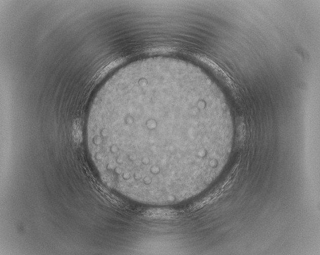 X0000115330929200912141216