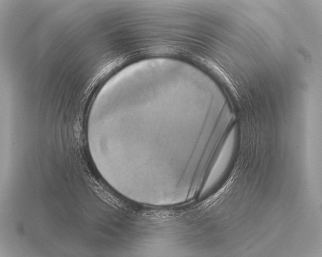 X0000115330930200912141216