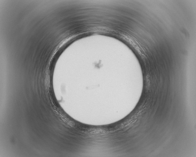 X0000115330931200912141216