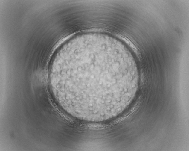 X0000115330933200912141216