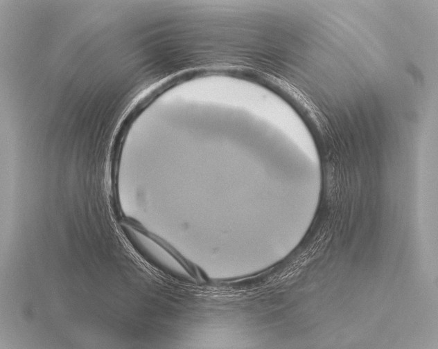 X0000115330935200912141216