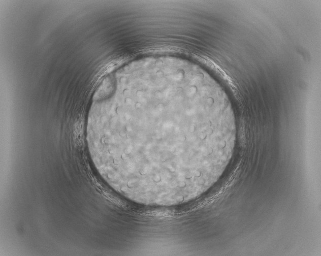 X0000115330937200912141216