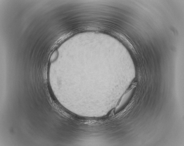 X0000115330938200912141216