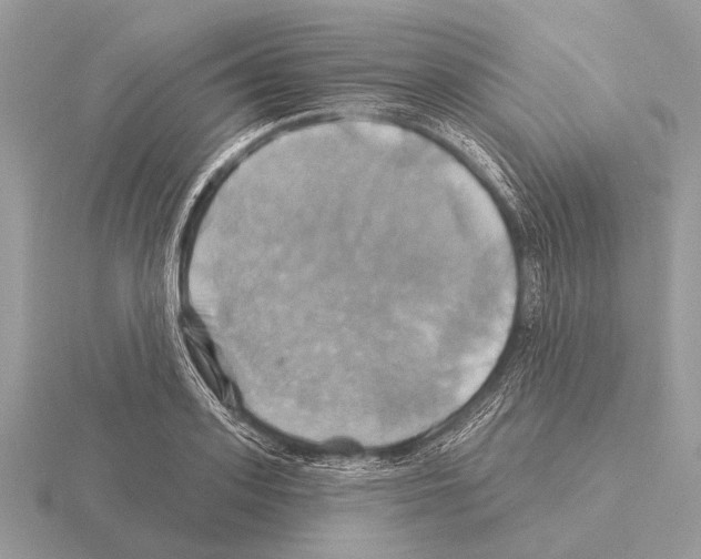 X0000115330939200912141216