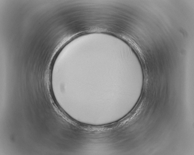 X0000115330941200912141216