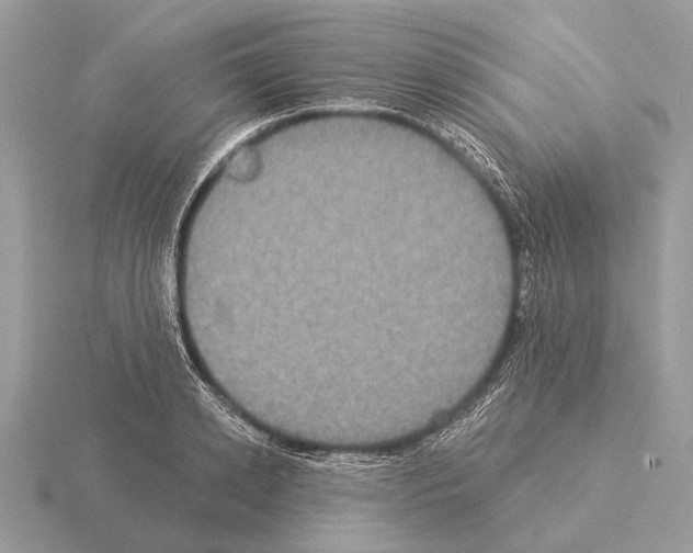 X0000115330942200912141216