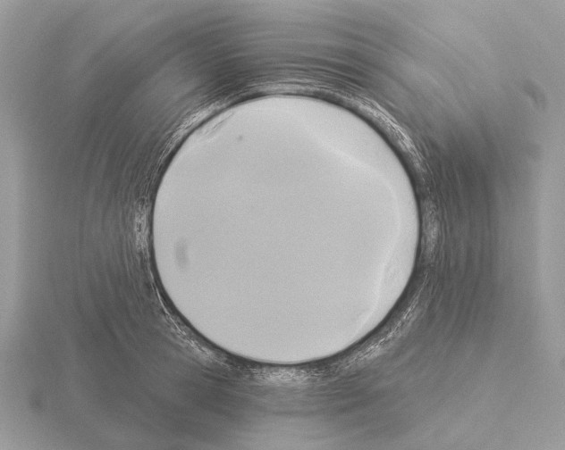 X0000115330945200912141216